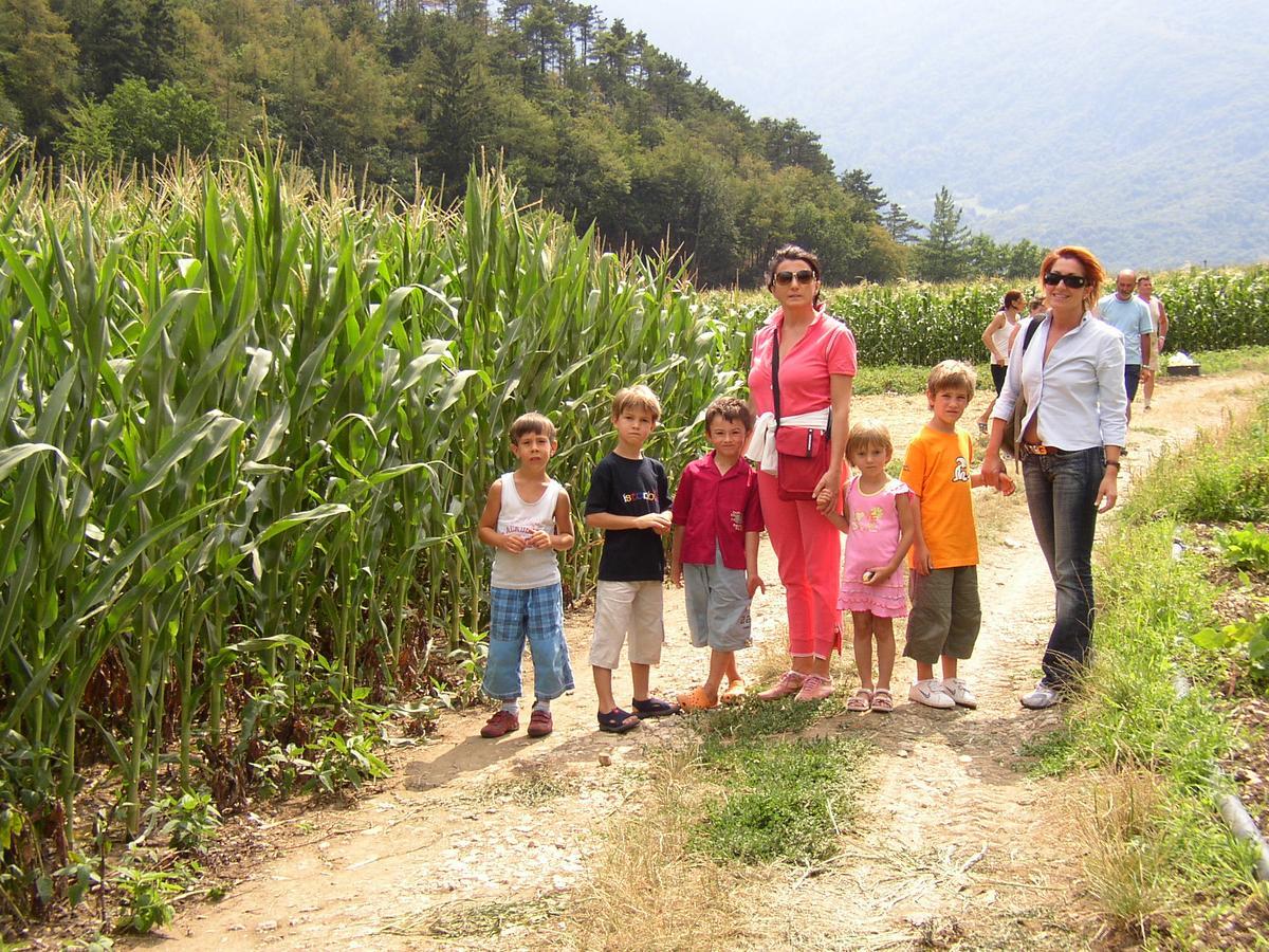 Ca' Dei Boieti Casa Vacanze Ronzo-Chienis Kültér fotó